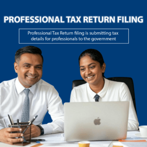 Professional Tax Return Filing